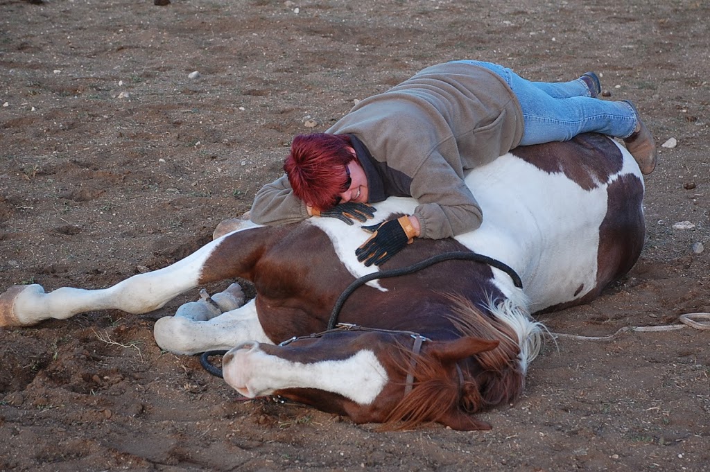 Two Minds - One Ride Horsemanship | 2058 Landry St, Clarence Creek, ON K0A 1N0, Canada | Phone: (819) 712-3565