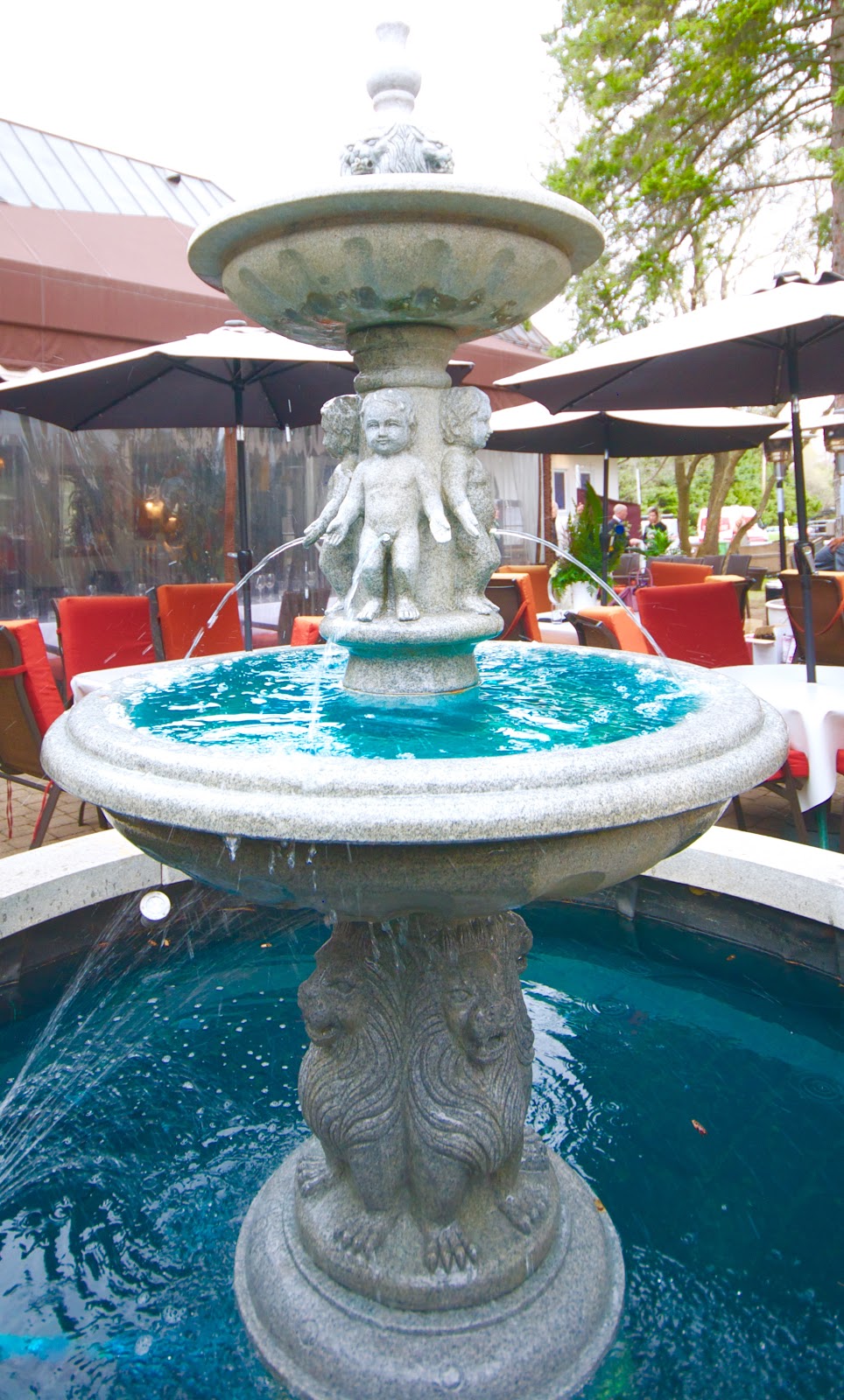 Restaurant Feliciano Apportez Votre Vin BYOB | 415 Rue Principale, Saint-Sauveur, QC J0R 1R4, Canada | Phone: (450) 227-2711