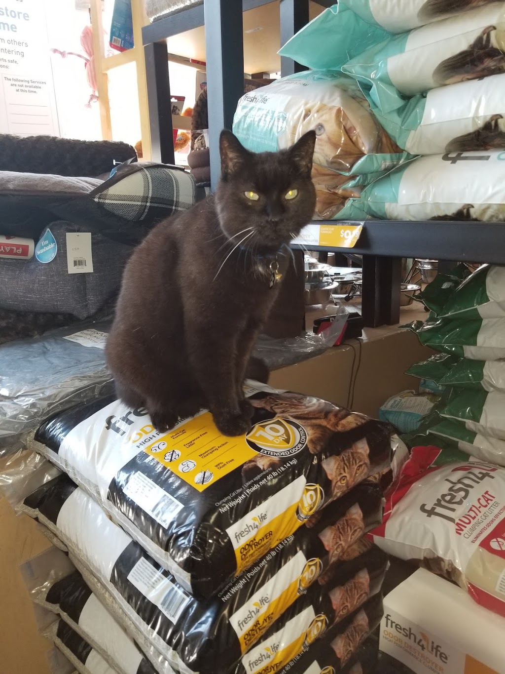 Paulmacs Pets | 12311 Hwy 35, Heritage Plaza, Minden, ON K0M 2K0, Canada | Phone: (705) 286-1172