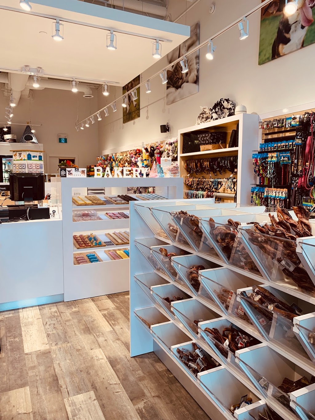 Bone & Biscuit | 487 Cornwall Rd Unit 9, Oakville, ON L6J 7S8, Canada | Phone: (905) 337-2525