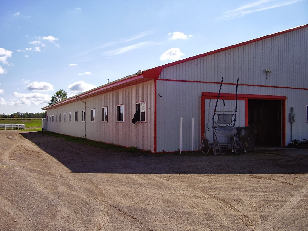 JT Construction and Excavation | 1469 Centre Rd, Carlisle, ON L0R 1H2, Canada | Phone: (905) 690-6655