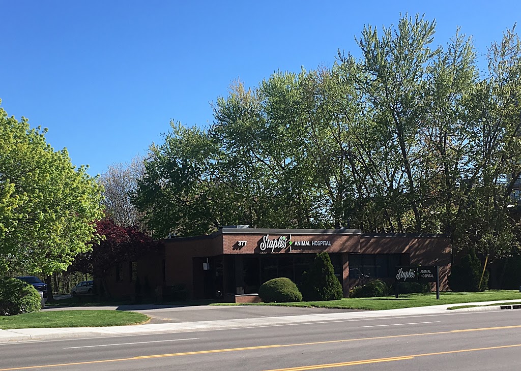 Staples Animal Hospital | 377 Commissioners Rd W, London, ON N6J 1Y4, Canada | Phone: (519) 472-9301
