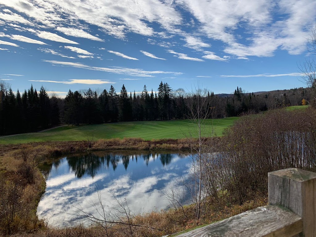 Black Dog Tremblant | 154 Allée du Rabaska, Mont-Tremblant, QC J8E OC3, Canada | Phone: (647) 701-4877