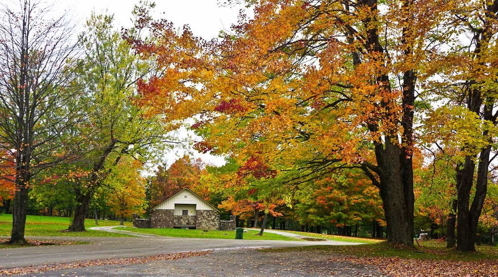 Chestnut Ridge Park | 6121 Chestnut Ridge Rd, Orchard Park, NY 14127, USA | Phone: (716) 662-3290
