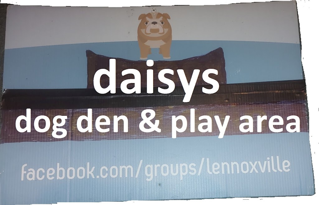 Daisys Dog Den & Play Area | 26 Rue Speid, Sherbrooke, QC J1M 1S1, Canada | Phone: (819) 238-9333