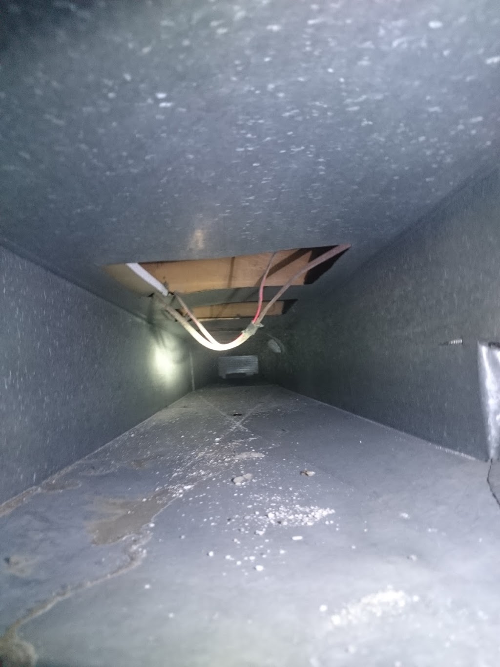 Seel Carpet and Furnace Cleaning | 1718 34 St SE, Calgary, AB T2A 1A3, Canada | Phone: (403) 276-9100