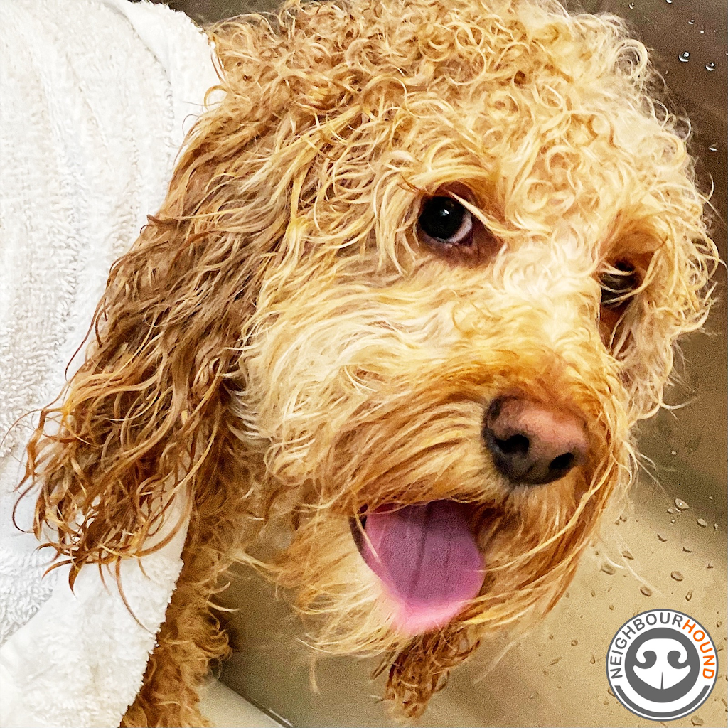 NeighbourHound | 258 Main St N, Markham, ON L3P 1Y7, Canada | Phone: (905) 475-3711
