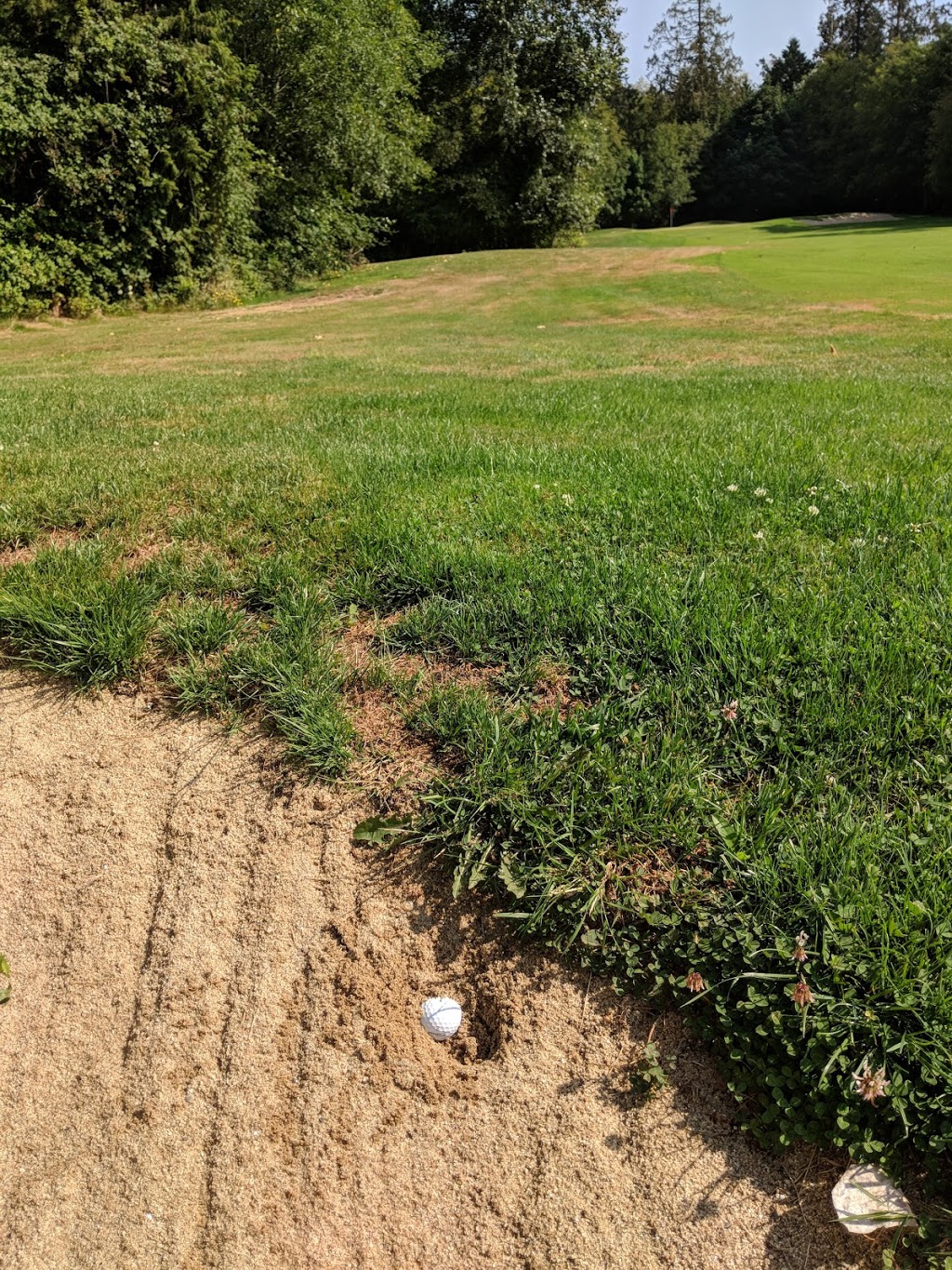 Bald Eagle Golf Club at Point Roberts | 1350 Pelican Pl, Point Roberts, WA 98281, USA | Phone: (866) 460-0368
