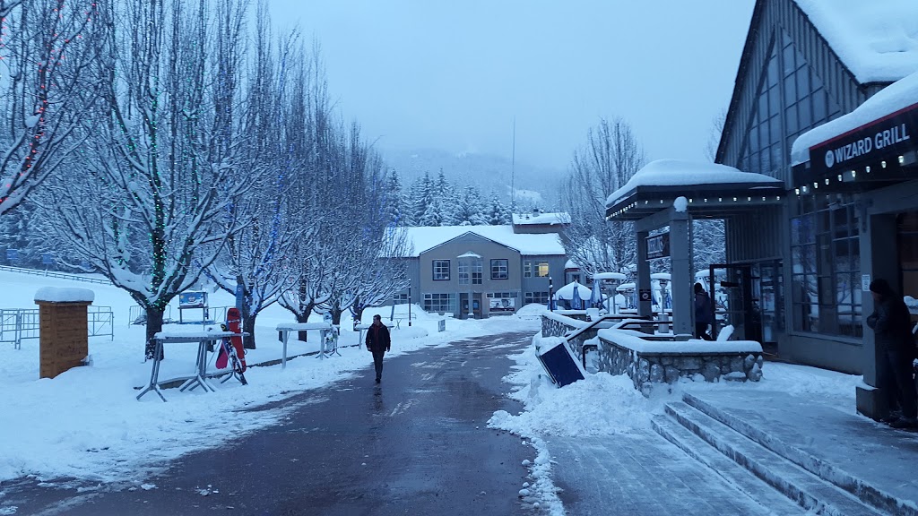 Whistler Home Holidays Inc | 3114 Tyrol Crescent, Whistler, BC V0N 1B3, Canada | Phone: (604) 938-9256
