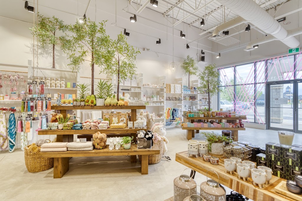 Swish + Company | 14225 23 Ave NW, Edmonton, AB T6R 3E7, Canada | Phone: (780) 437-7493