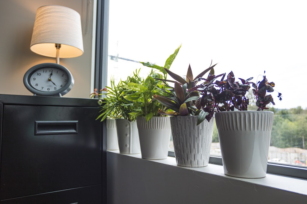 Juniper Counselling | 220 Brew St #301, Port Moody, BC V3H 0E5, Canada | Phone: (778) 871-1211