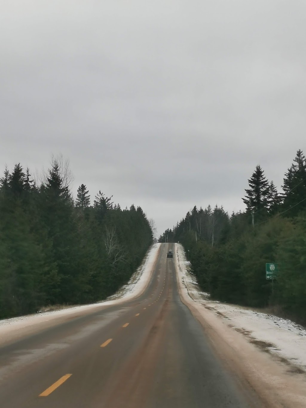 PEI Forestry: Brookvale Demo Woodlot | Brookvale Demo Woodlot Rd, North Wiltshire, PE C0A 1Y0, Canada | Phone: (902) 368-4700