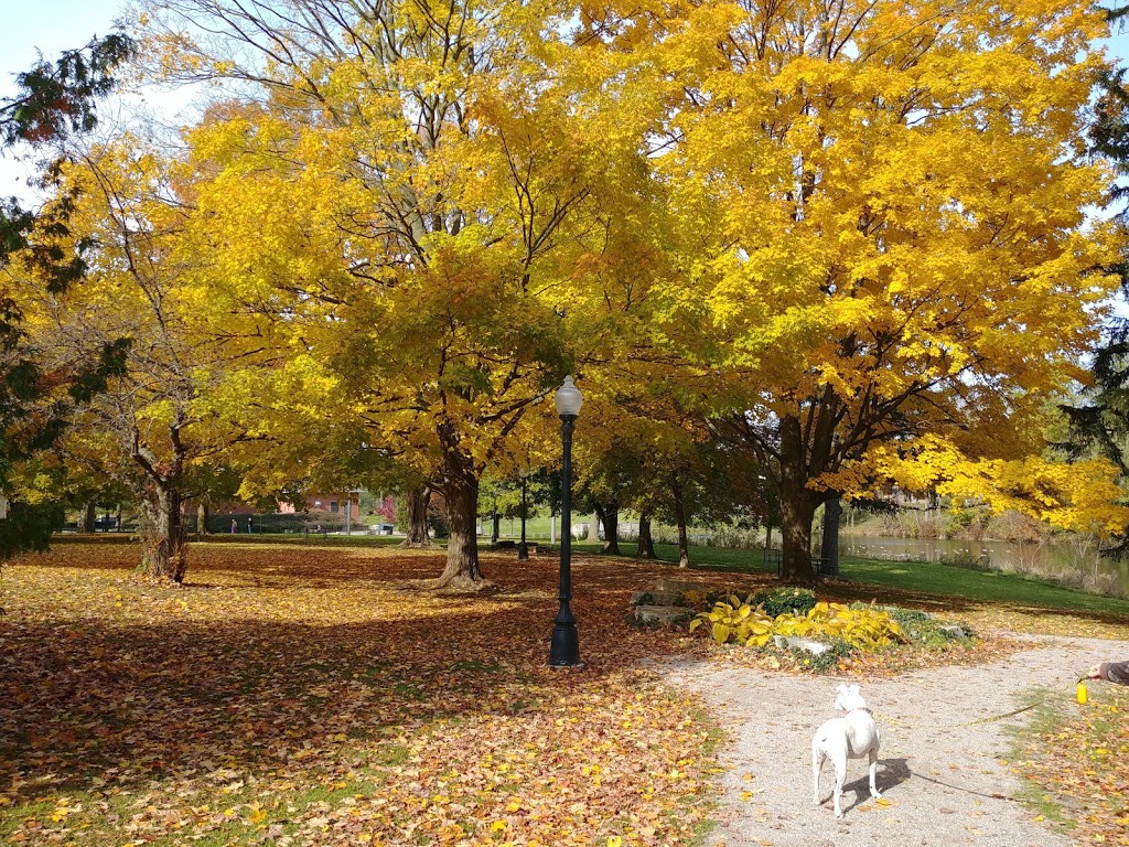 MacNaughton Park and Nature Trail | 56 Hill St, Exeter, ON N0M 1S1, Canada