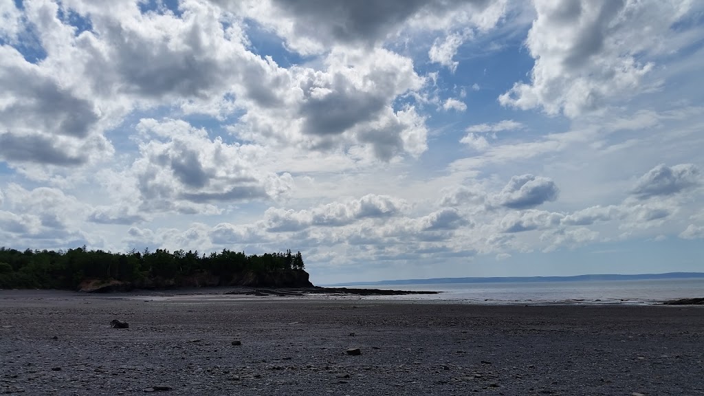 Shore Thing Takeout | 6535-, 6645 NS-215, Newport, NS B0N 2A0, Canada