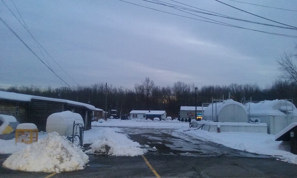 Täde:Ninò:Nëh - T:N:N Express Mart | 11326 Hwy 20, Irving, NY 14081, USA | Phone: (716) 934-2653