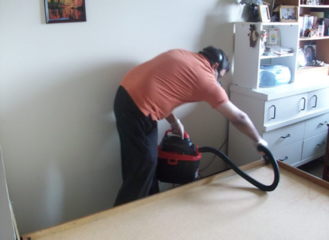 Metro King Pest Control Inc. | 380 Dixon Rd #2306, Etobicoke, ON M9R 1T3, Canada | Phone: (416) 241-7378