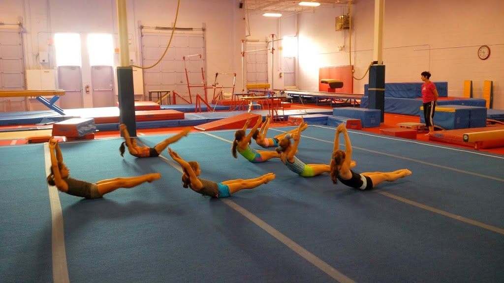 Global Gymnastics | 6 Vata Ct, Aurora, ON L4G 4B6, Canada | Phone: (905) 503-5225