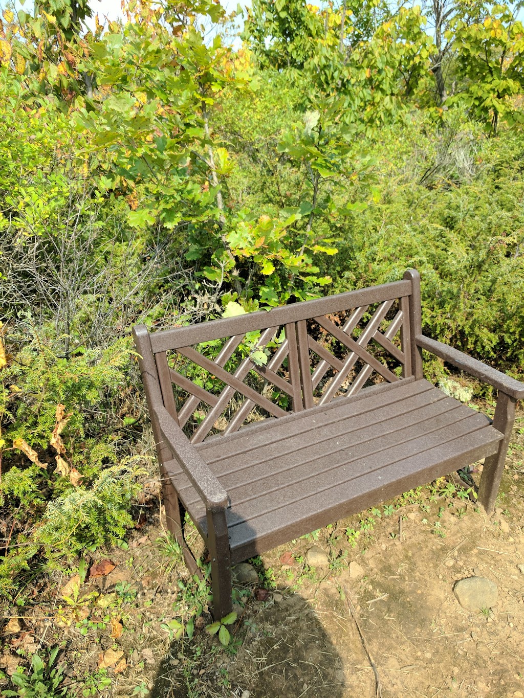 Chaumont Barrens Nature Preserve | 29924 Van Alstyne Rd, Chaumont, NY 13622, USA | Phone: (315) 387-3600
