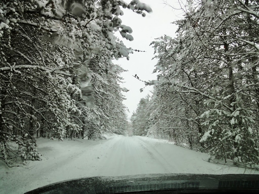 Devil’s Elbow Ski Area | 878 Bethany Hills Rd, Bethany, ON L0A 1A0, Canada | Phone: (705) 277-2012