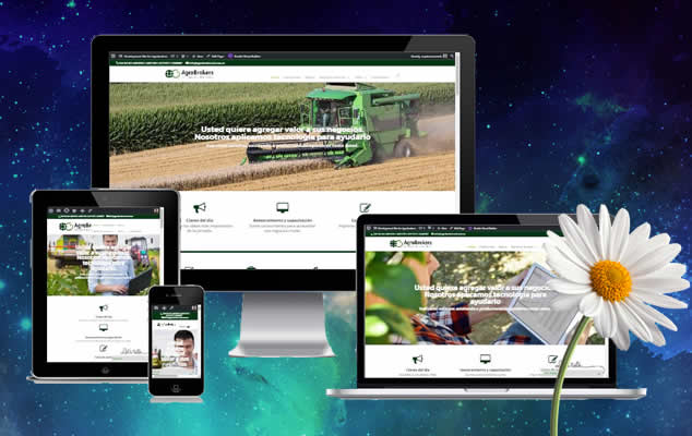 Maple Moon Web Design Inc | 151 Aldred Dr, Port Perry, ON L9L 1B4, Canada | Phone: (905) 985-5249