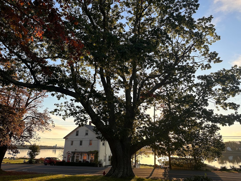 Grand Oak Manor Bed & Breakfast | 5345 Granville Rd, Annapolis Royal, NS B0S 1A0, Canada | Phone: (902) 308-1592