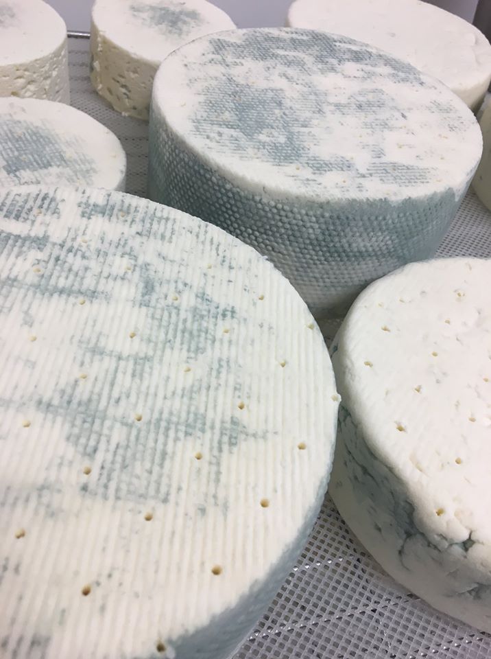 Coteau Hills Creamery | 69 Highland Rd, Moose Jaw, SK S6J 1M5, Canada | Phone: (306) 631-2181