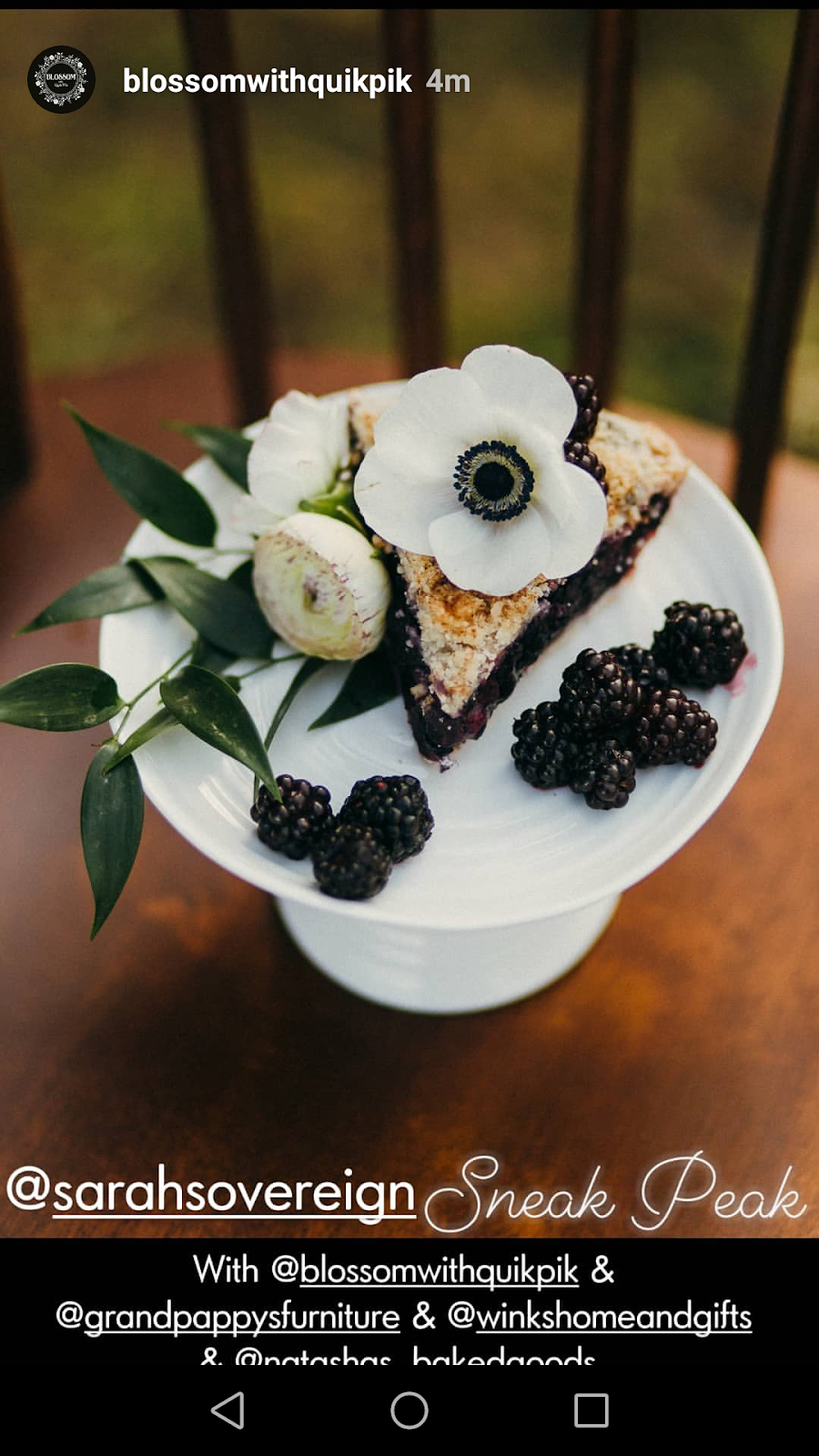 Natashas Pies | 7484 Vedder Rd, Chilliwack, BC V2R 4E7, Canada | Phone: (604) 316-2850