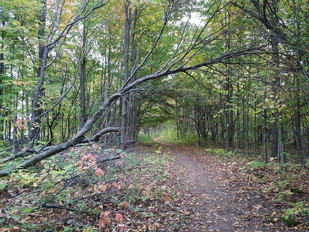 Boyne Valley Provincial Park | Shelburne, ON L0N 1S0, Canada | Phone: (705) 435-2498