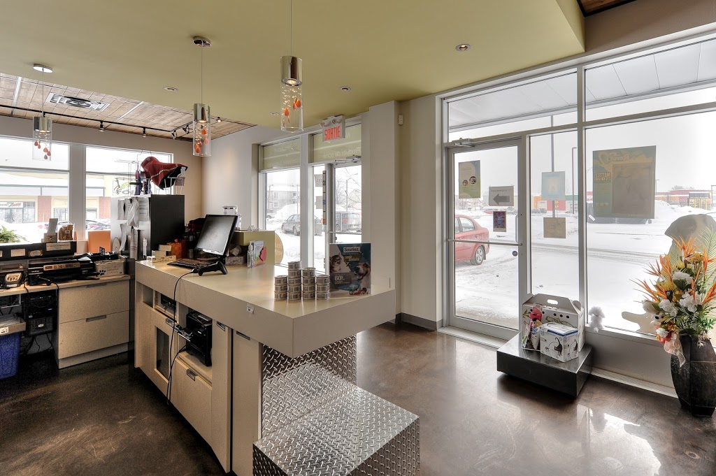 Clinique Veterinaire Passionimo La Plaine | 5581 Boulevard Laurier, Terrebonne, QC J7M 1C3, Canada | Phone: (450) 477-9662