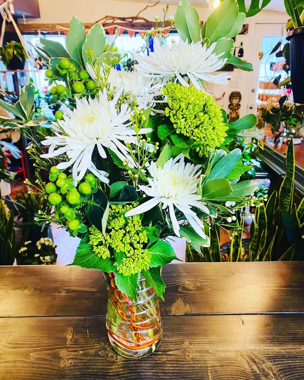 Fayes Wildflowers | 10 Pelham St, Lunenburg, NS B0J 2C0, Canada | Phone: (902) 634-8421