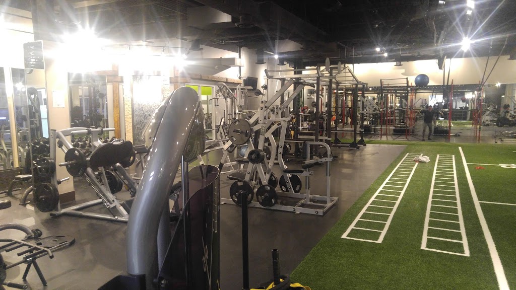 Pure Motivation Fitness Studios | 1410 Major MacKenzie Dr W c1, Maple, ON L6A 4H6, Canada | Phone: (905) 832-3331