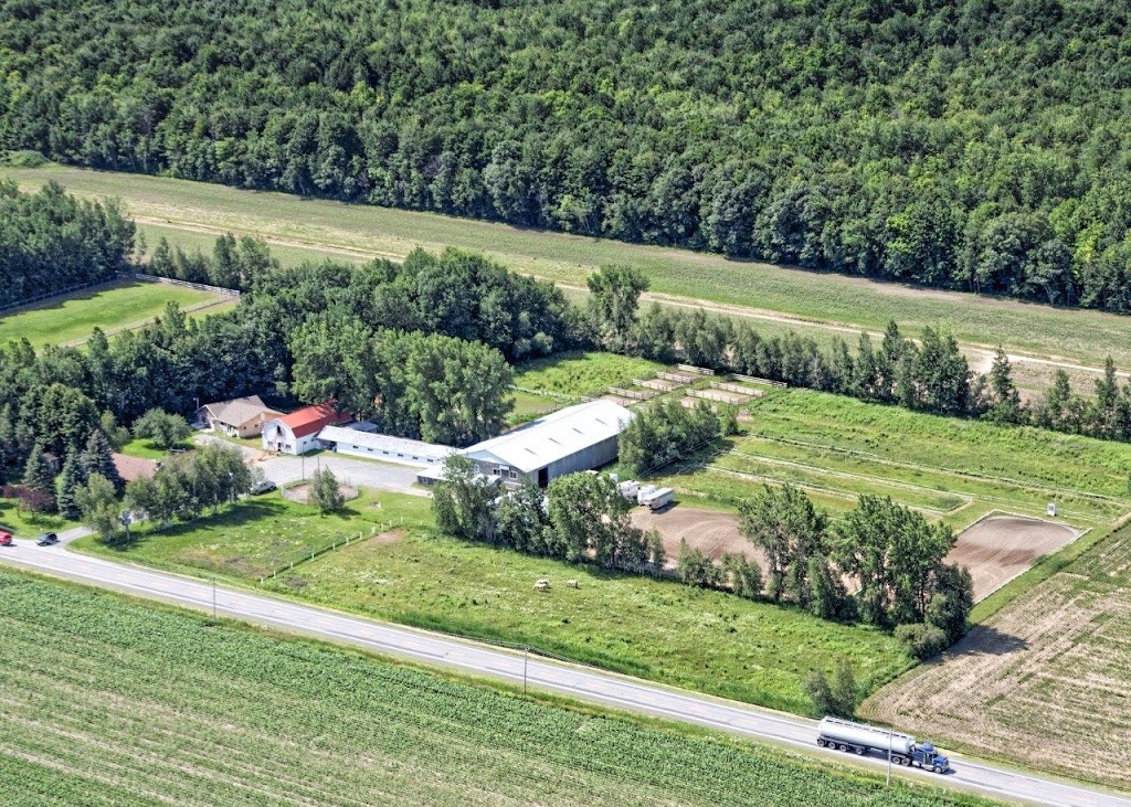 Auberge Canine JDL | 3605 Chem. Benoît, Sainte-Madeleine, QC J0H 1S0, Canada | Phone: (450) 795-6813