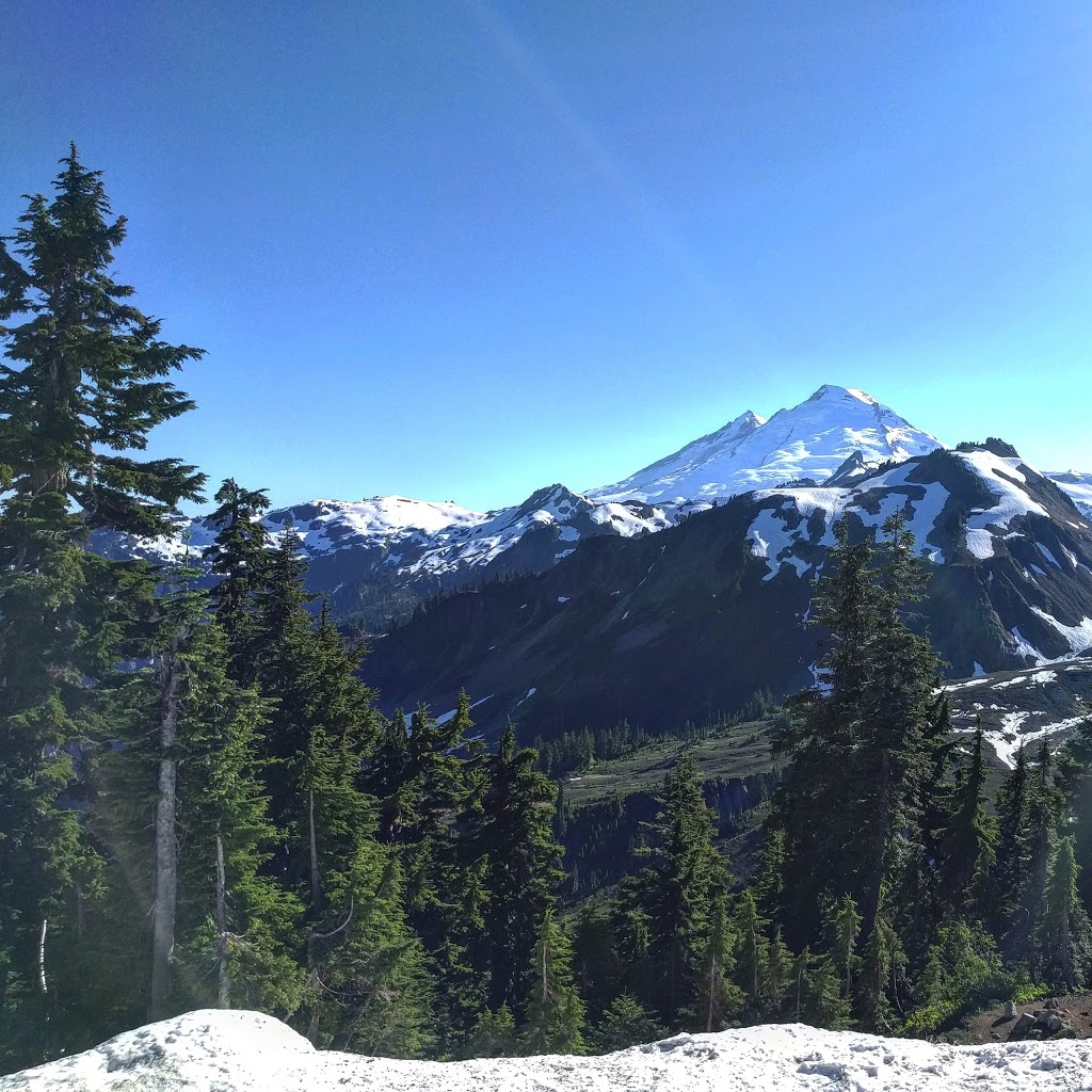 Mt Baker Vacation Cabin ~ The Francis Cabin | Grouse Ln, Deming, WA 98244, USA | Phone: (360) 599-3111