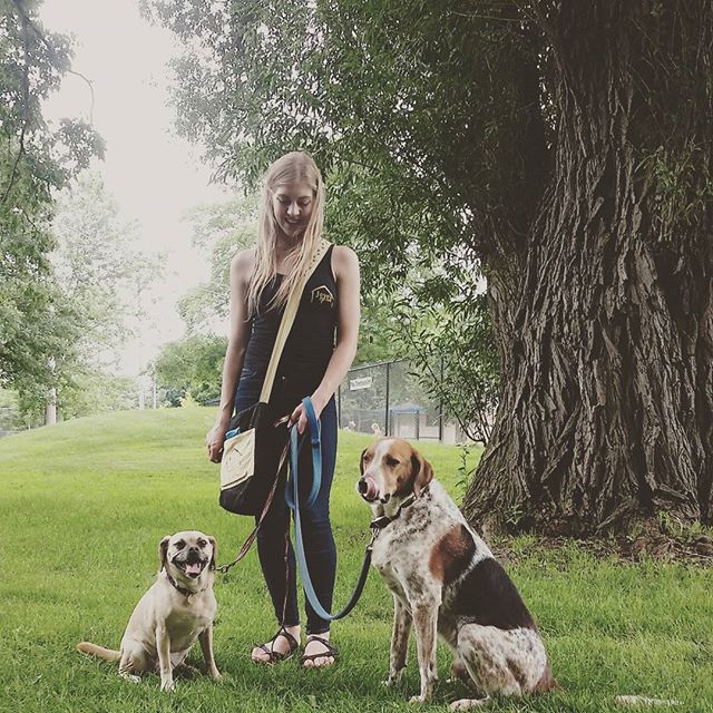 Jeves Pet Care Inc. | 236 Greenwood Ave, London, ON N6J 3G4, Canada | Phone: (519) 854-5383