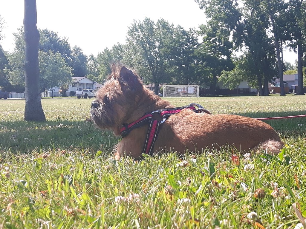 Bertie Centennial Park a.k.a. Ferndale Park | 865 Ferndale Ave, Fort Erie, ON L2A 5H2, Canada