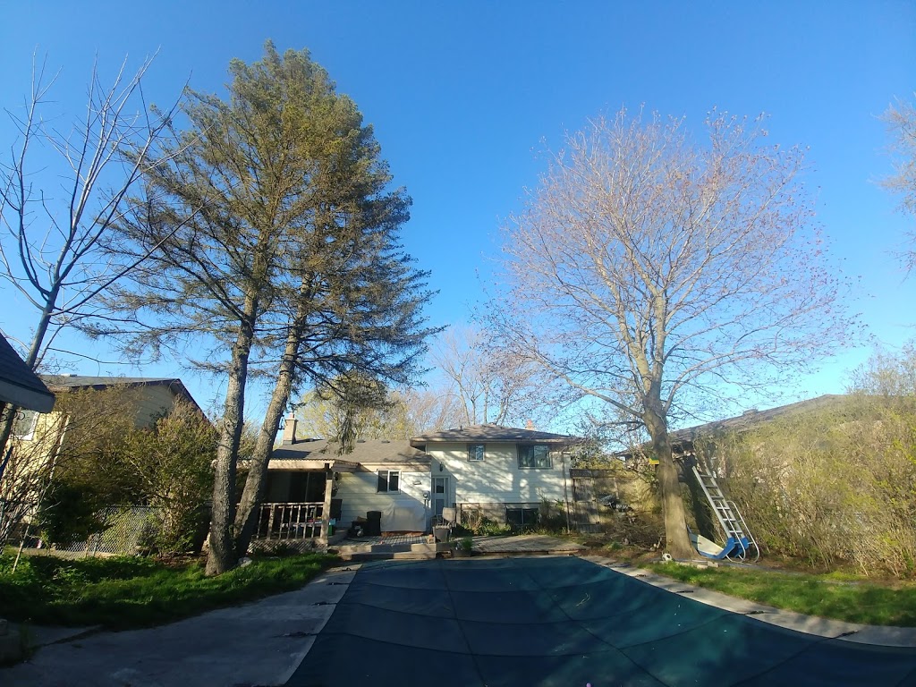 Conservatree | 22269, Adelaide St N, Ilderton, ON N0M 2A0, Canada | Phone: (519) 670-0882