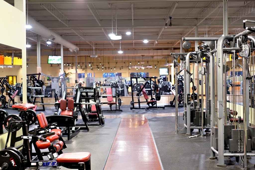 Wellington Fitness | 4465 Wellington Rd S, London, ON N6E 2Z8, Canada | Phone: (226) 289-4653