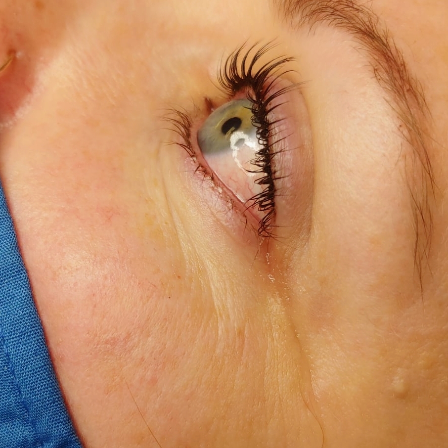 Lash & Sass | 5222 130 Ave SE, Calgary, AB T2Z 0G4, Canada | Phone: (403) 879-2993