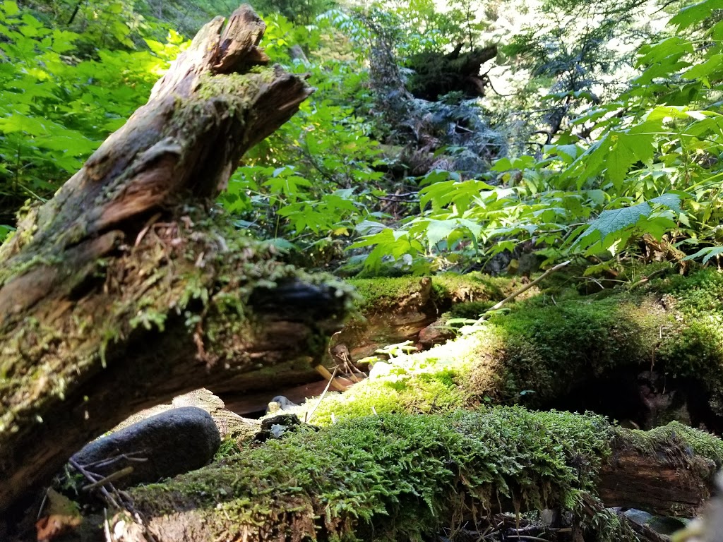 Fraser River Park | 8705 Angus Dr, Vancouver, BC V6P 6G2, Canada | Phone: (604) 873-7000