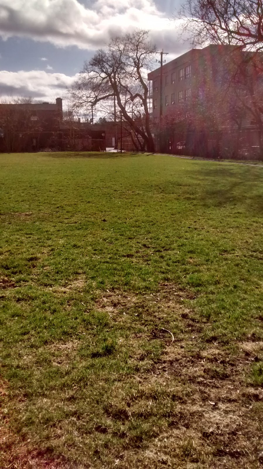Alexander Park | 960 Silver St, Ottawa, ON K1Z 6H5, Canada