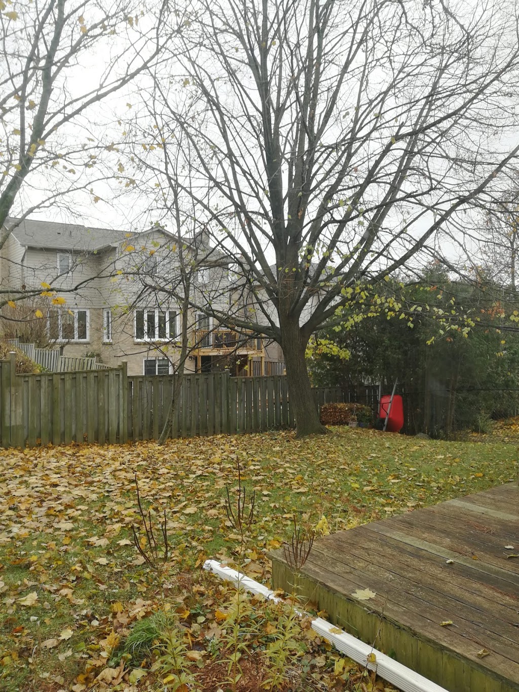 Willow park | Unnamed Road, Whitby, ON L1N 7Z8, Canada