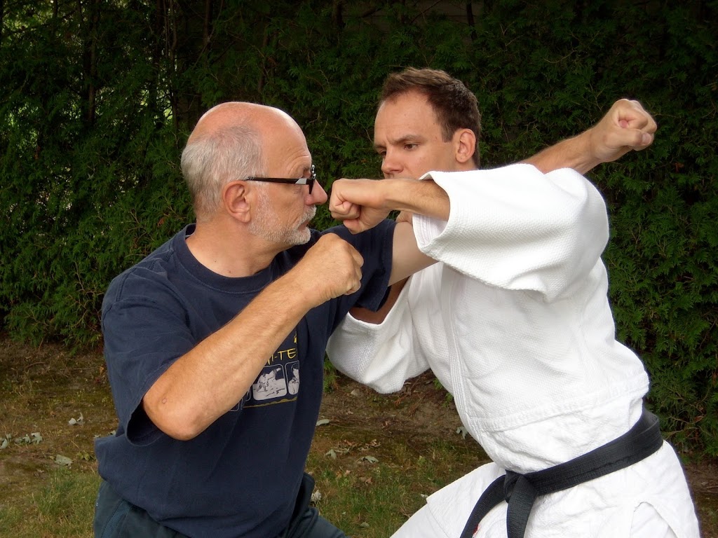 Dojo Évolution | 87 Boulevard Saint-Luc local 25-A, Saint-Jean-sur-Richelieu, QC J2W 1E2, Canada | Phone: (514) 708-9391