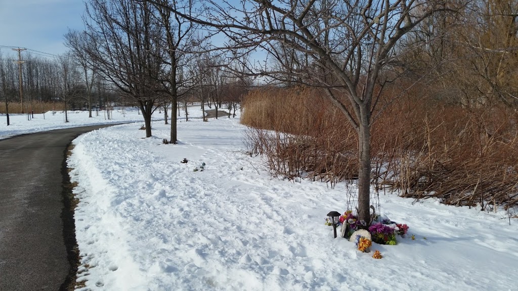 Two Mile Creek Trail | Two Mile Creek Rd, Tonawanda, NY 14150, USA