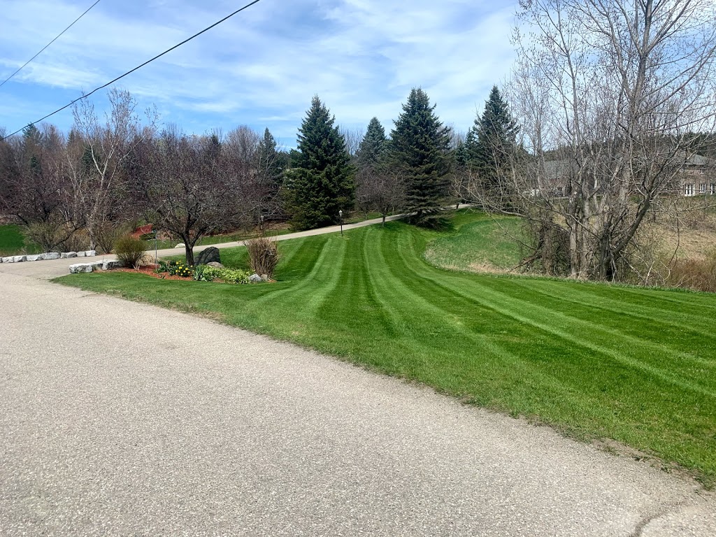 Cedar Mills Landscaping | 15810 Duffys Ln, Bolton, ON L7E 3B9, Canada | Phone: (647) 355-9460