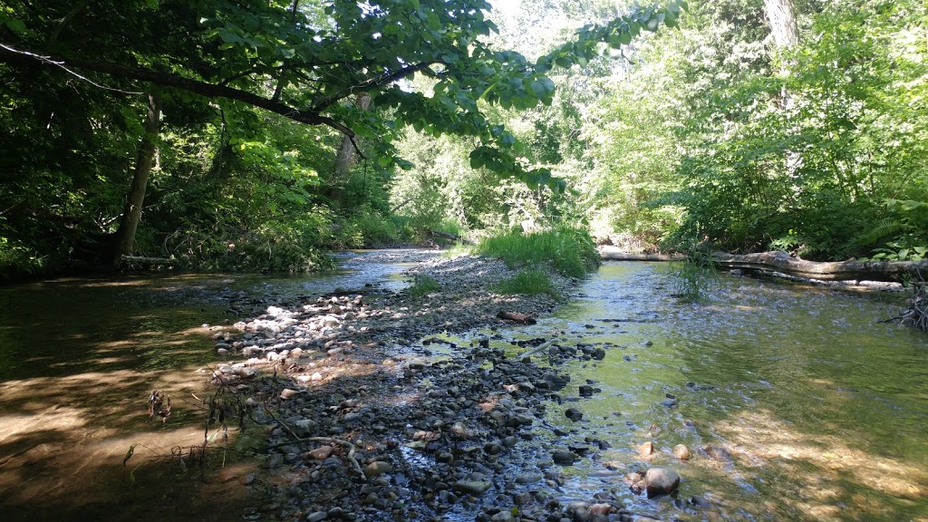 Stephens Gulch Conservation Area | L1C 4V7, 367 Stephens Mill Rd, Bowmanville, ON L1C 4V7, Canada