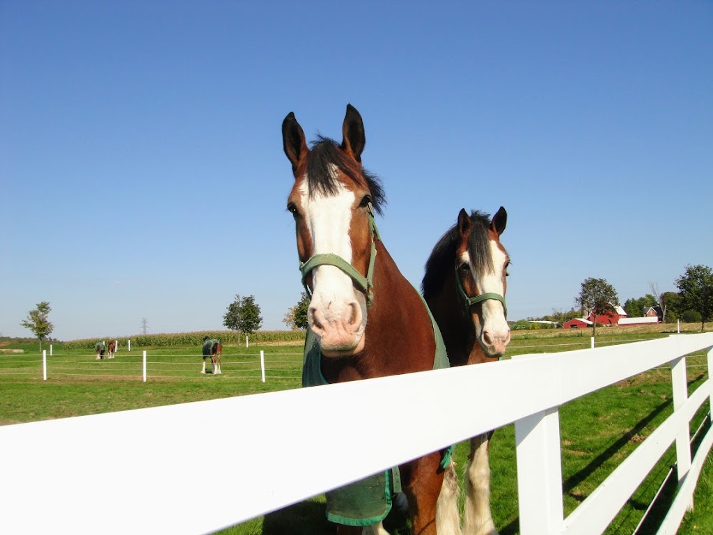 Cranston Farms | 37 Carluke Rd E, Ancaster, ON L9G 3L1, Canada | Phone: (905) 648-0176