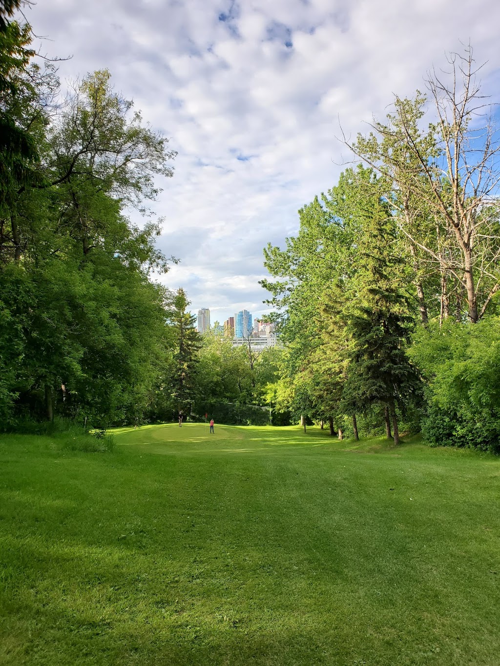 Kinsmen Pitch & Putt | 9100 Walterdale Hill NW, Edmonton, AB T6E 2V3, Canada | Phone: (780) 432-1626