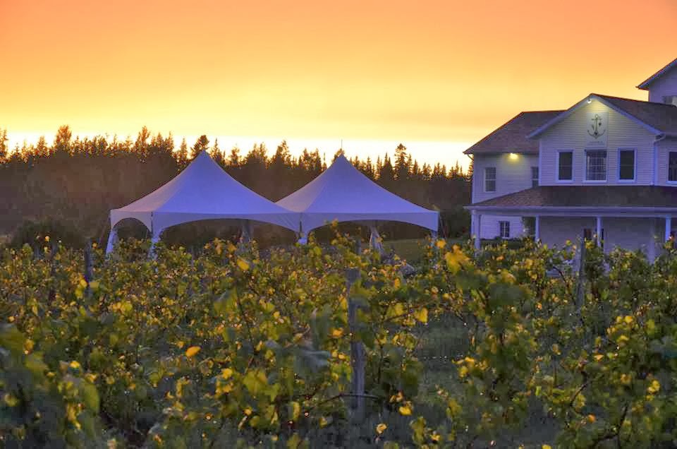 Vignoble Chemin de la Rivière | 1087 Chem. de la Rivière, Magog, QC J1X 3W5, Canada | Phone: (819) 847-1485