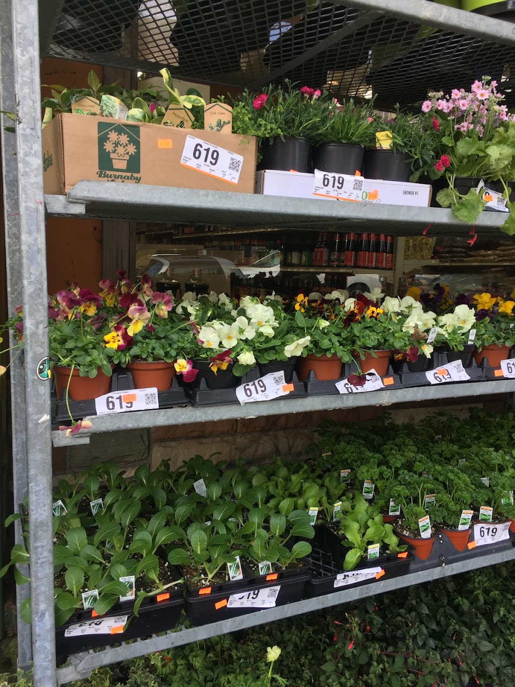 Triple A Fresh Produce | 4356 Hastings St, Burnaby, BC V5C 2J9, Canada | Phone: (604) 205-1773