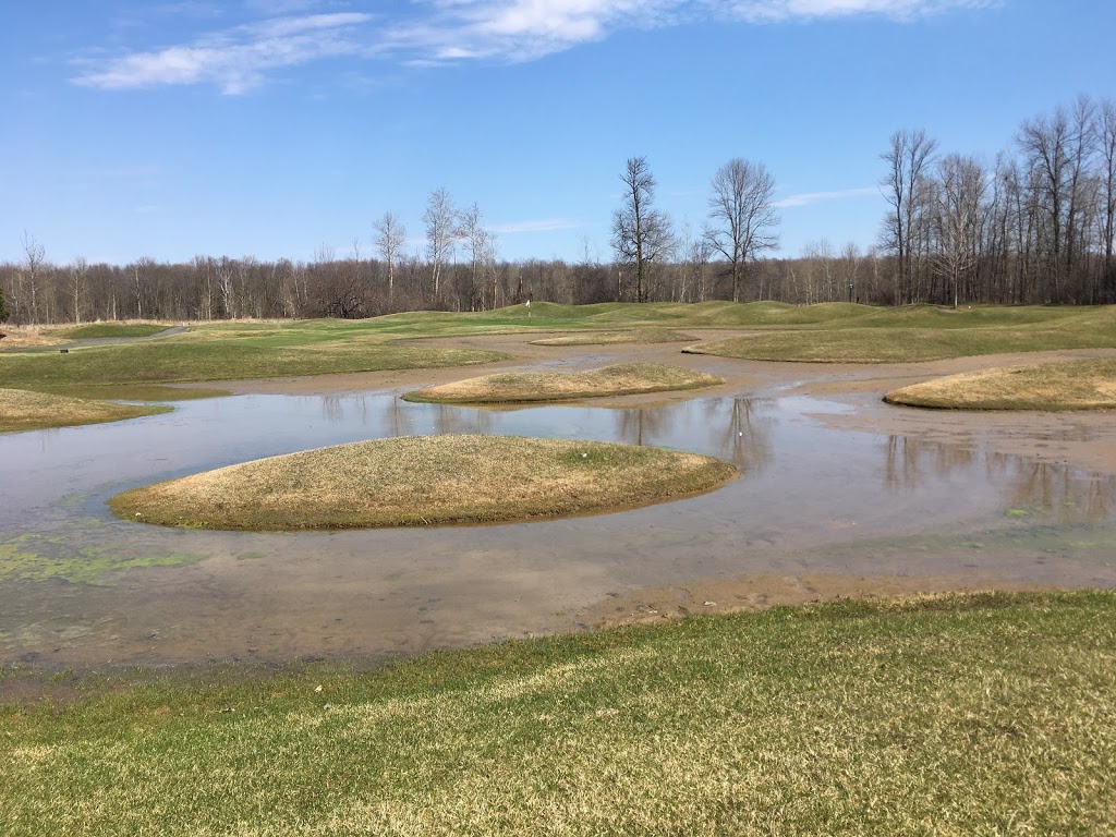 Innisfill Creek Golf Club | 239 Reive Blvd, Cookstown, ON L0L 1L0, Canada | Phone: (705) 458-4653